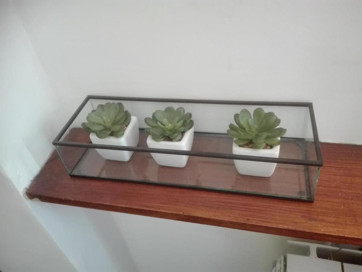 Apartament Sloneczny - Krynica Zdroj Bagian luar foto